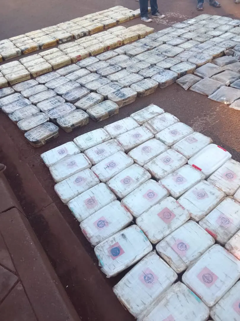A second view of the Lomahasha bricks laid out for counting